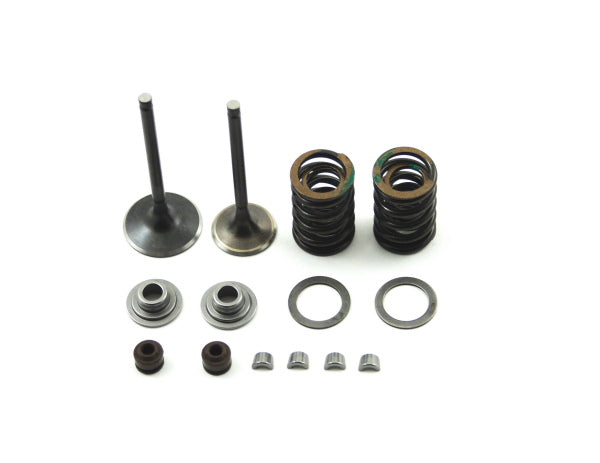 TB Valve Kit – Race Head V2 - Howling Moto