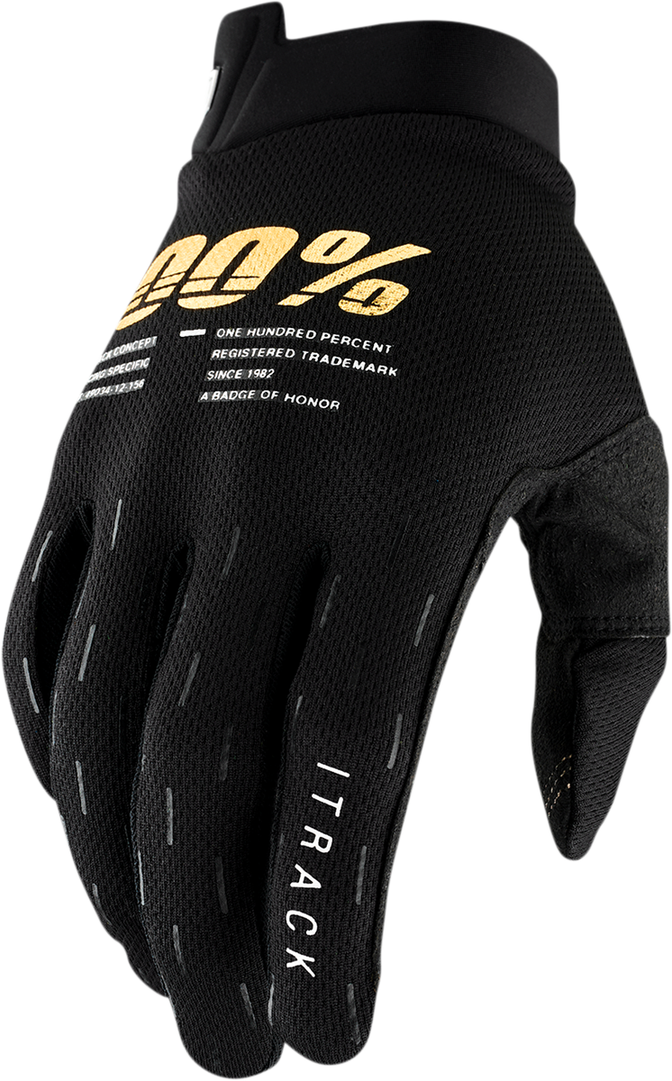 Black 100% iTrack gloves by Bill's Exhausts in large size, showing the textured finger and palm grip design.