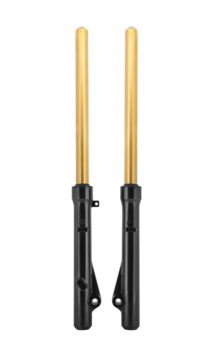 TB Fork Assembly Set, Extended, HD springs & Gold TiN Coated uppers – CRF110 - Howling Moto