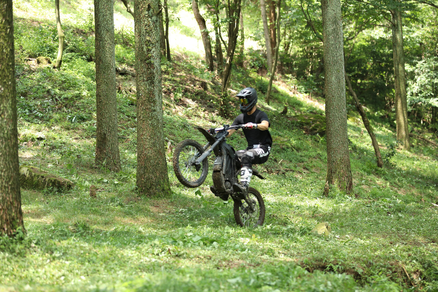 E Ride Pro-S (17") - Howling Moto