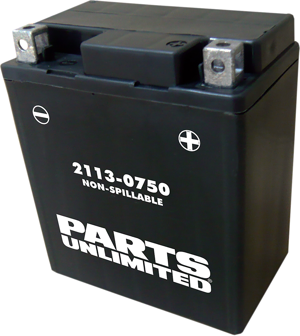 Parts Unlimited AGM Battery YTX7L, maintenance-free motorcycle battery with high-performance power, part number CTX7L.
