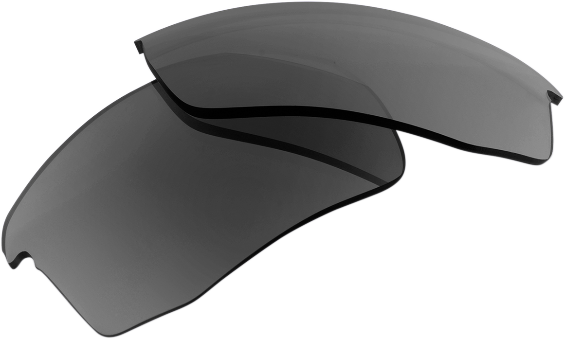 Gray PeakPolar lenses for Speedcoupe by Bill's Exhausts, showing the sleek gray tinted optical lenses.