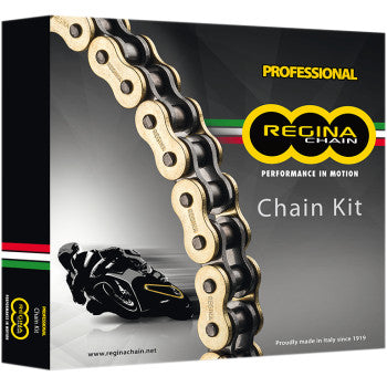 Regina Chain and Sprocket Kit - Honda - TRX 250X - '87-'92/TRX 300EX '93-'08 - Howling Moto
