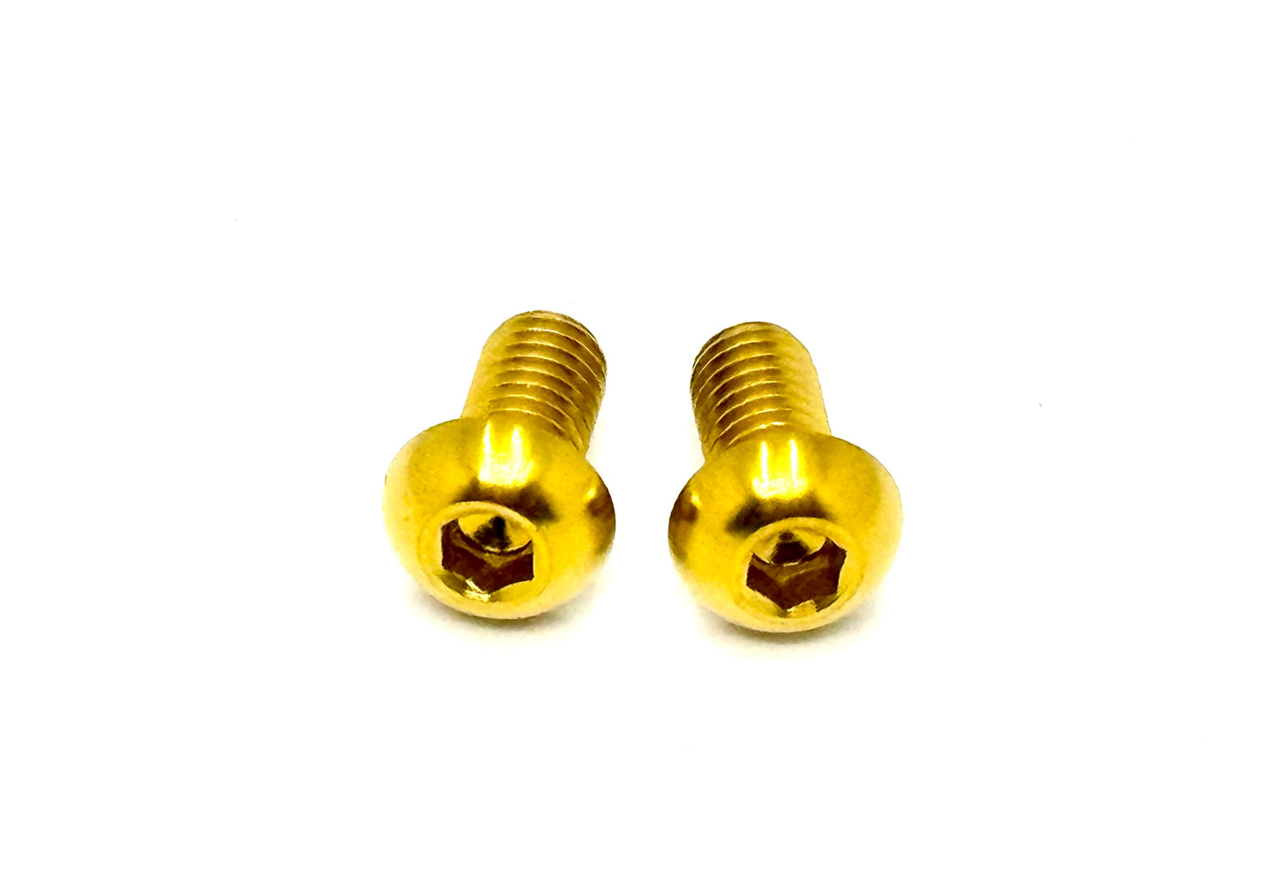 Titanium Chain Guard Bolts (Set of Two) Talaria XXX, MX3, MX4 - Howling Moto