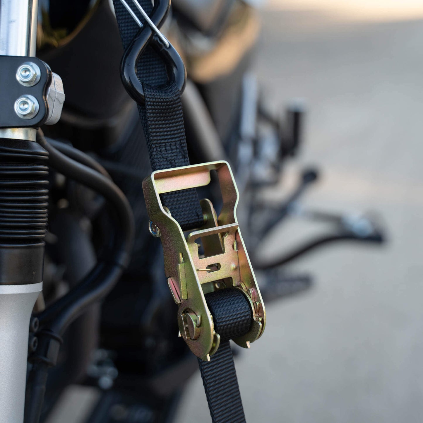 SafeLoop Ratcheting Tie Downs - Howling Moto