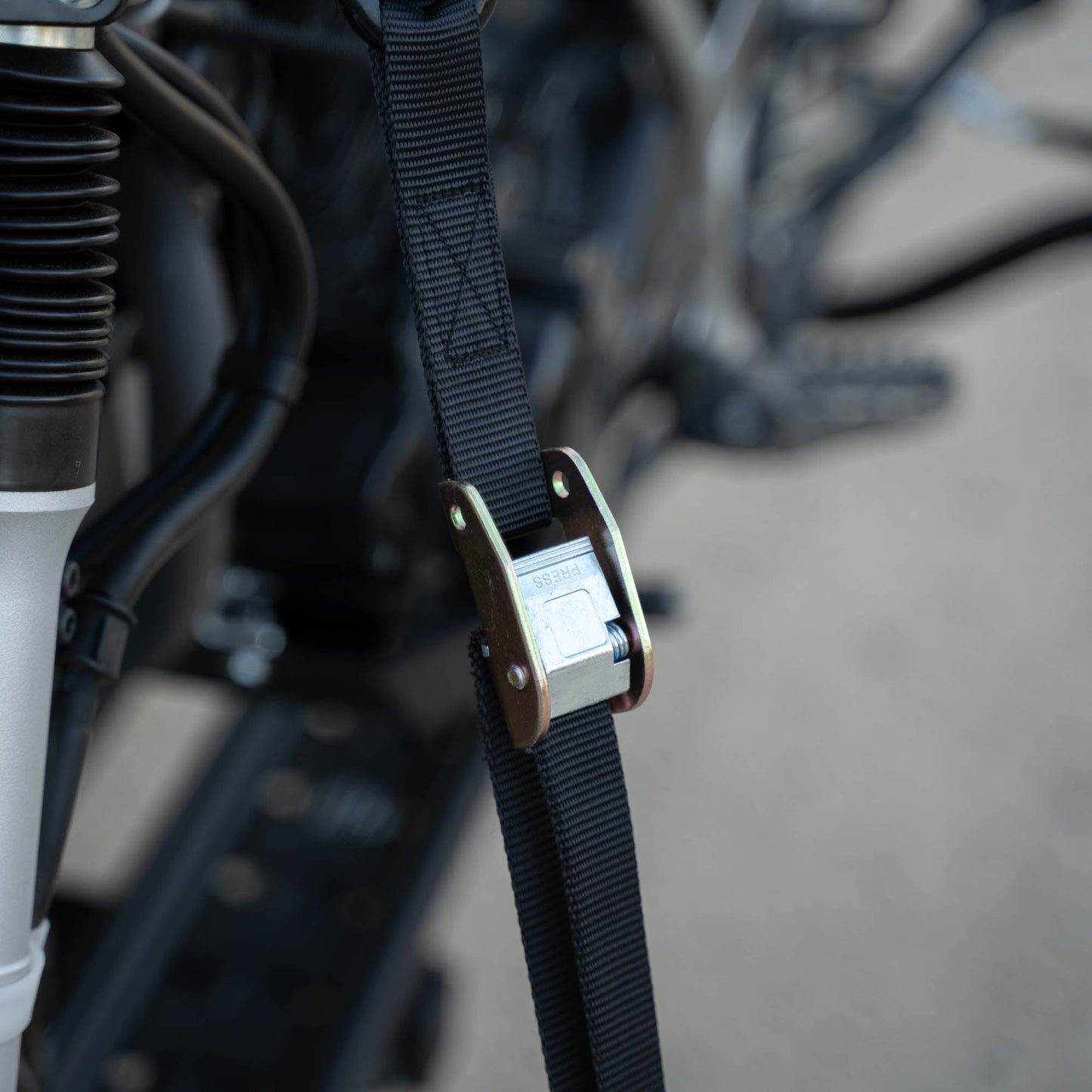 SafeLoop Cam Buckle Tie Downs - Howling Moto