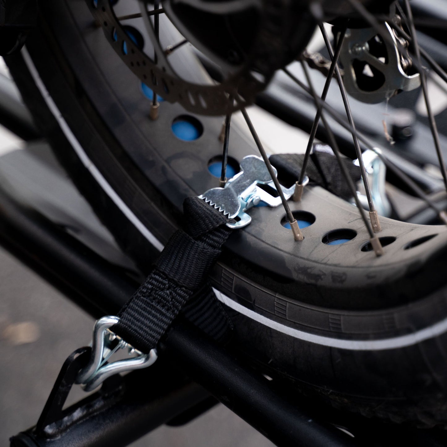 TireBelt Tie Down - Howling Moto