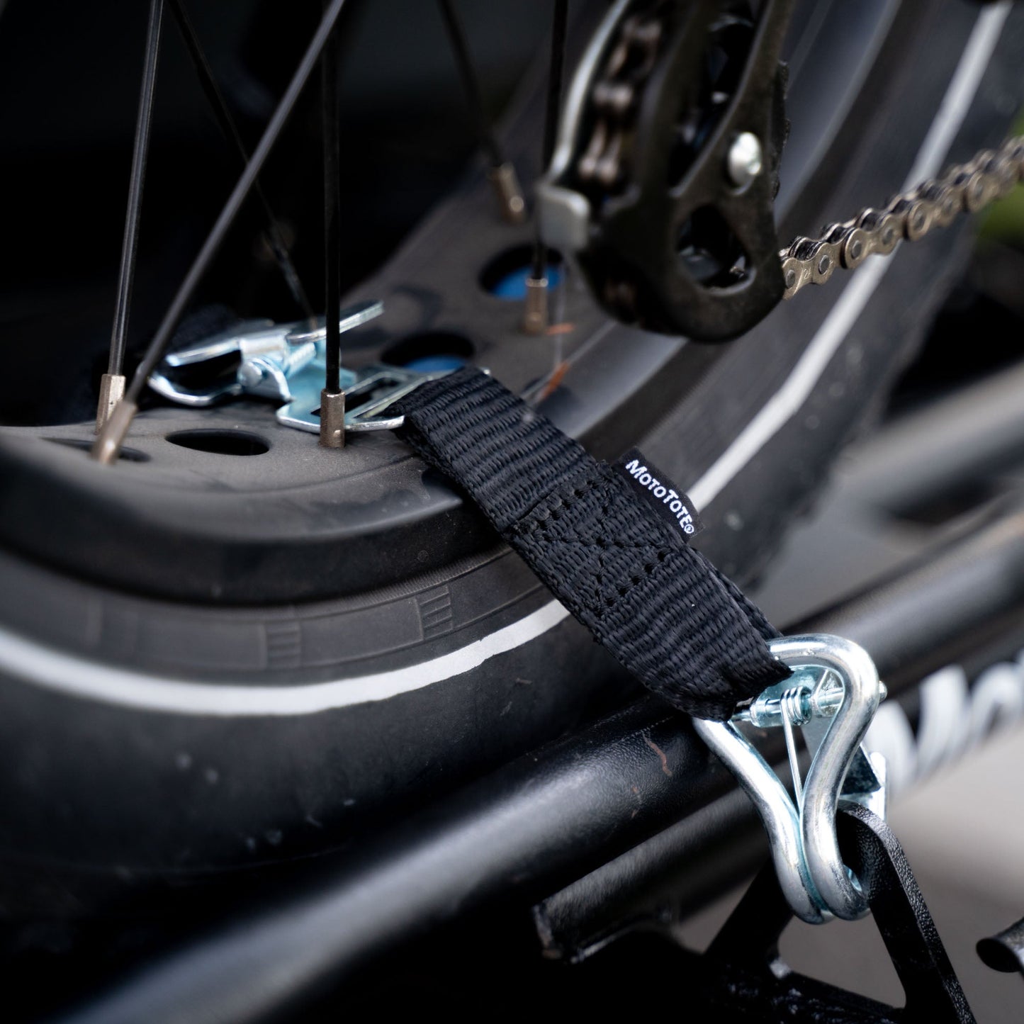TireBelt Tie Down - Howling Moto