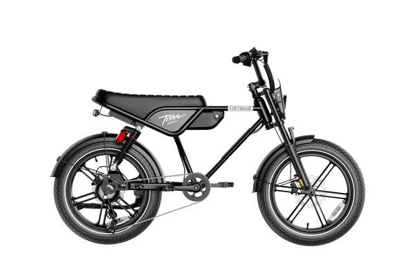 Heybike Titan Electric Bike | 750W Motor, Full Suspension, Up to 80 Miles