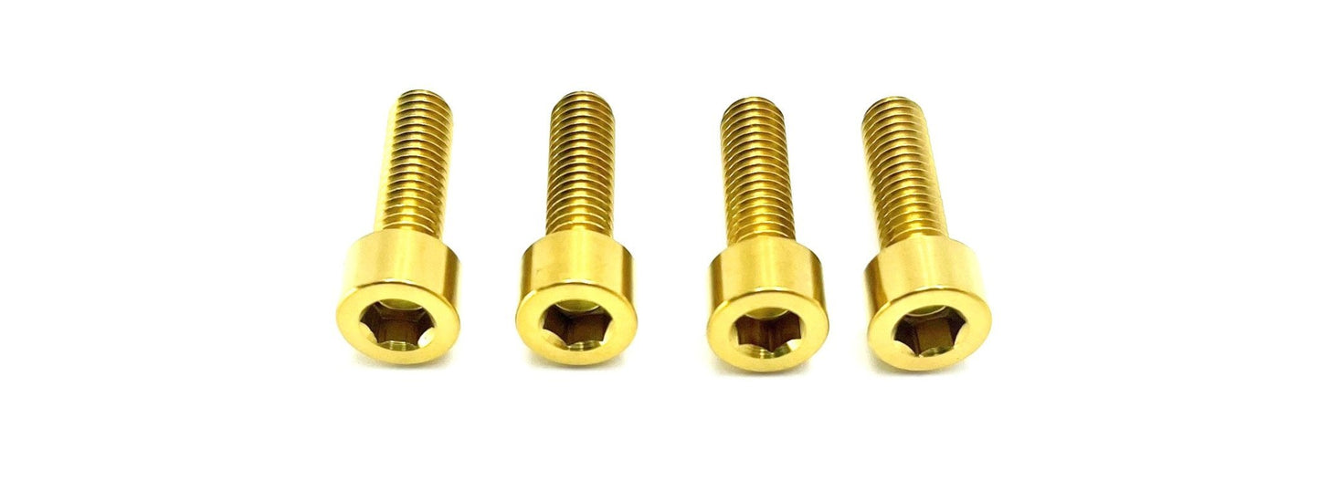 AHX12RV (3.0) FastAce Fork Titanium Axle Pinch Bolts - Howling Moto