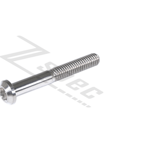 ZSPEC M6-1.0x45mm Dress Up Bolt® Fastener, Angled Head, Titanium Grade-5, Per Each - Howling Moto