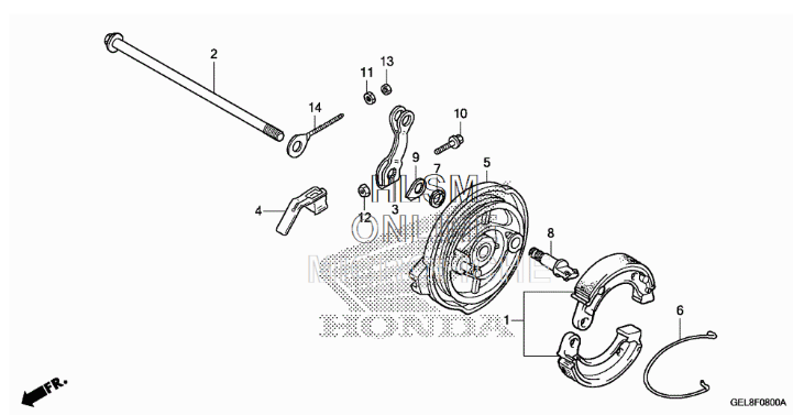 Honda XR/CRF50 Rear Brake Panel - Howling Moto