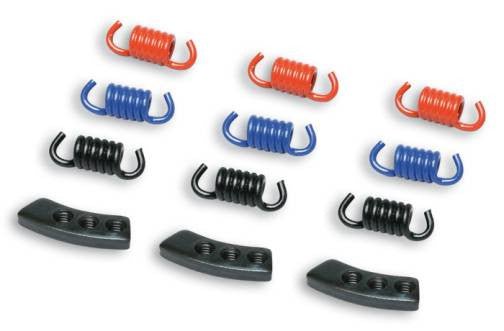 Malossi Delta/Fly spring/weight kit - Howling Moto
