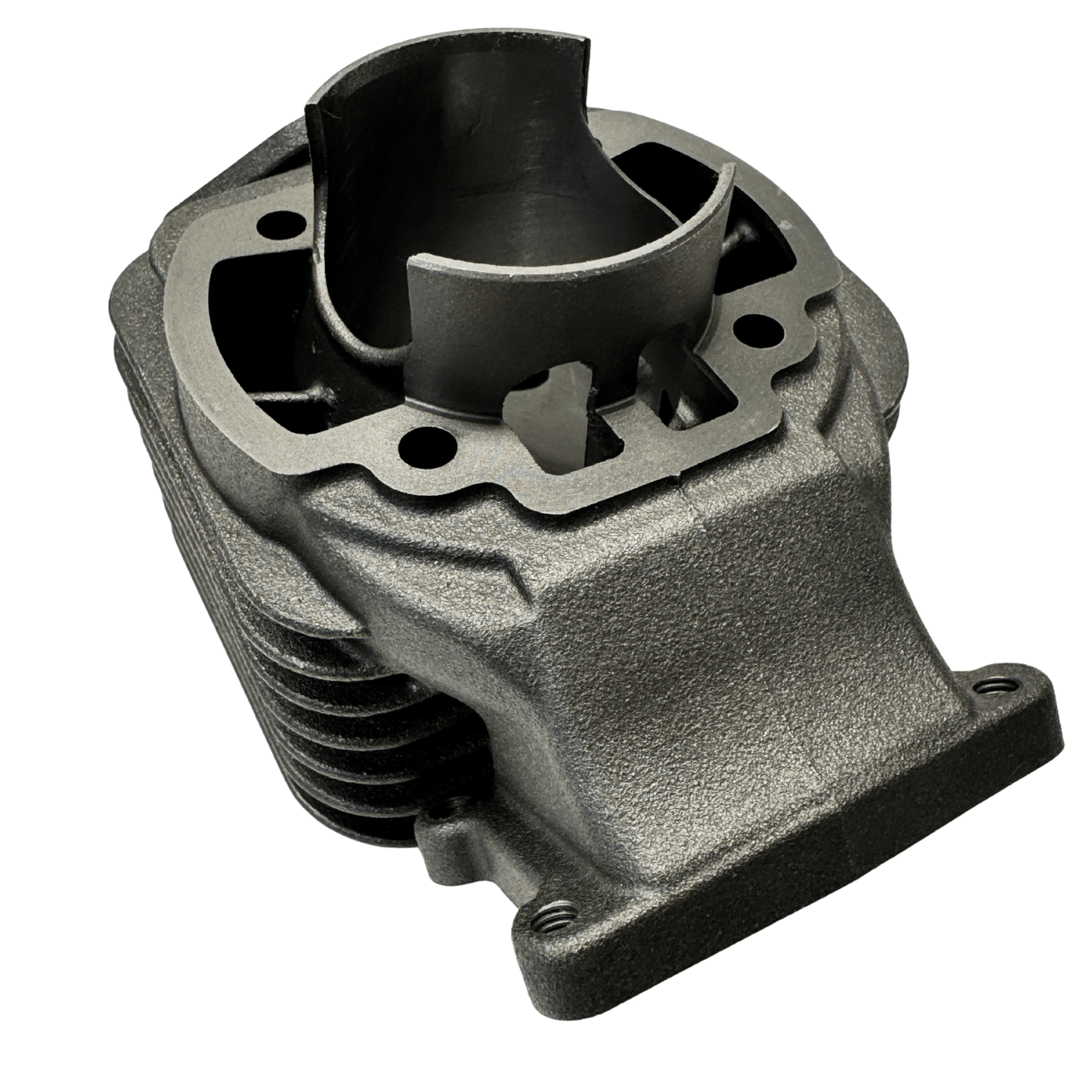 Polini Evolution Cylinder kit - Minarelli Vertical - Howling Moto