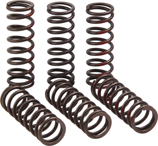 Pro Circuit clutch springs for Honda CRF 450R motorcycle, showing the coiled steel springs in a close-up view.