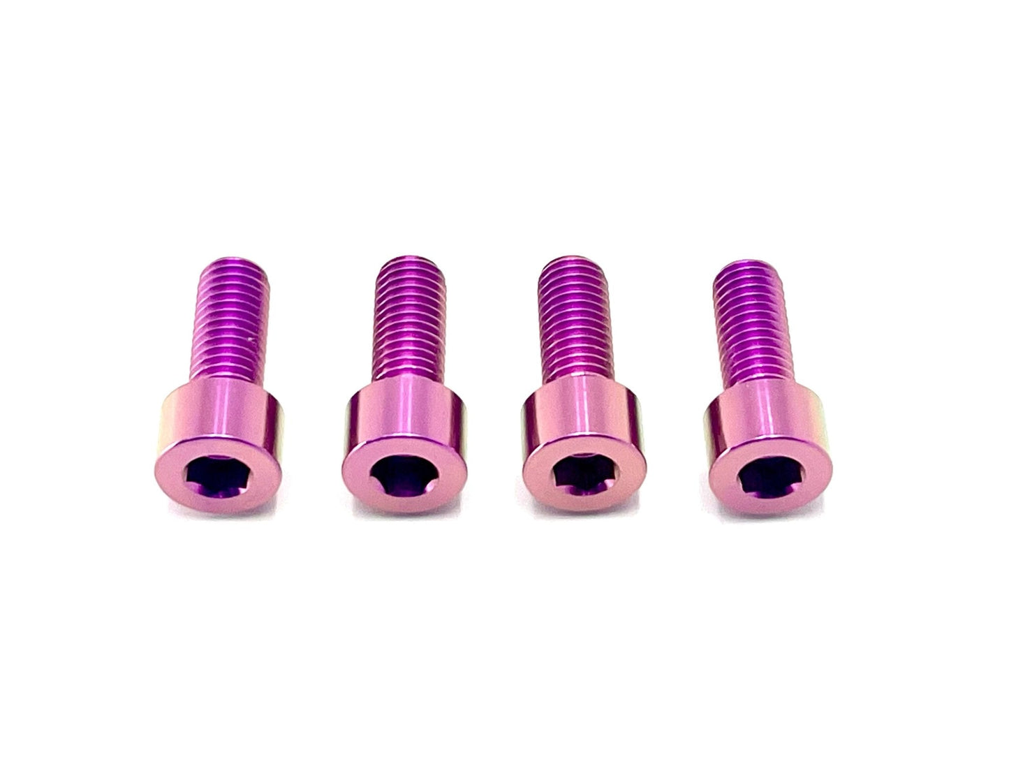 Titanium Bash Guard/ Skid Plate Bolts - Surron LBX and Segway (Set of 4) - Howling Moto