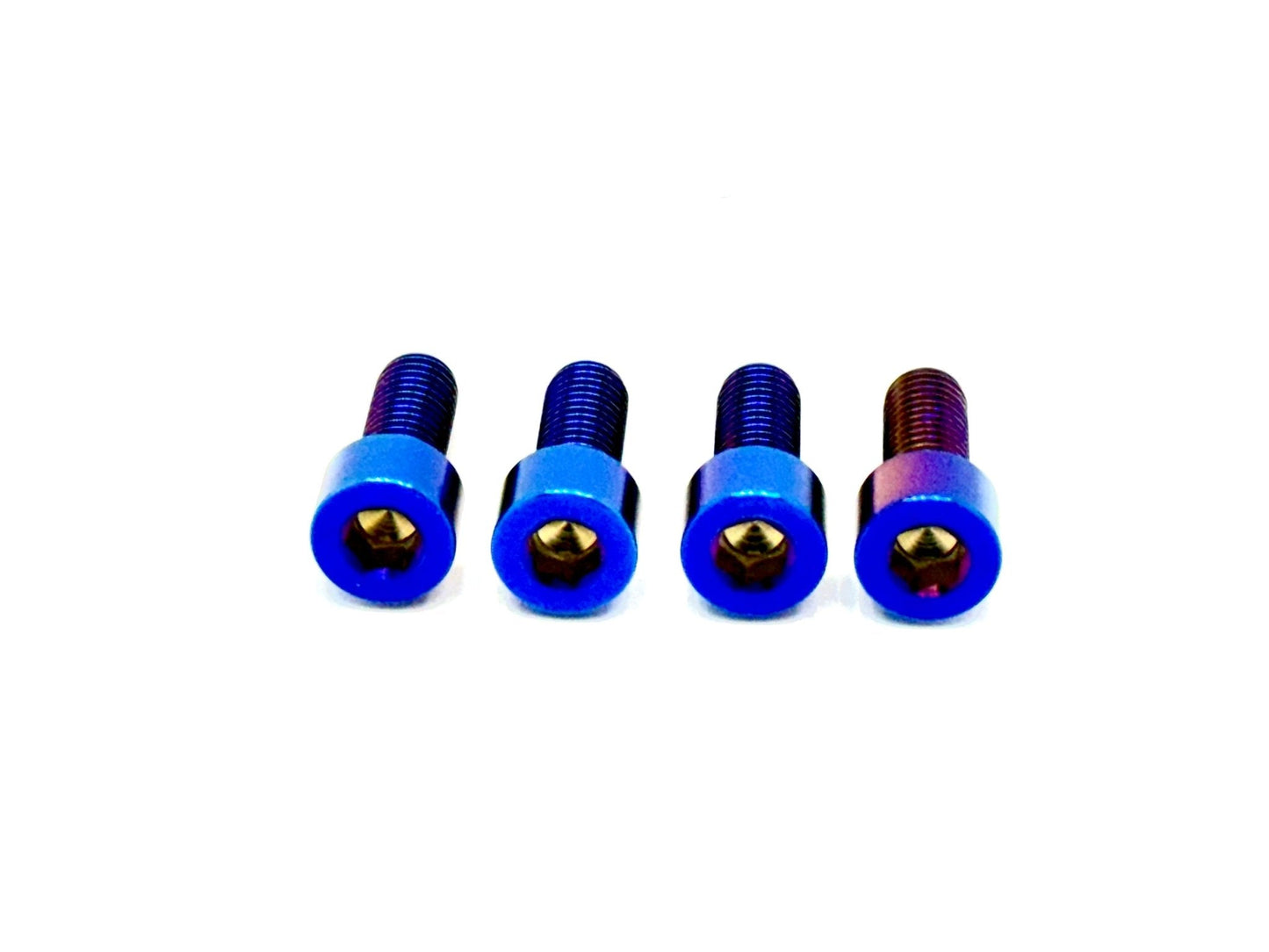 Titanium Bash Guard/ Skid Plate Bolts - Surron LBX and Segway (Set of 4) - Howling Moto