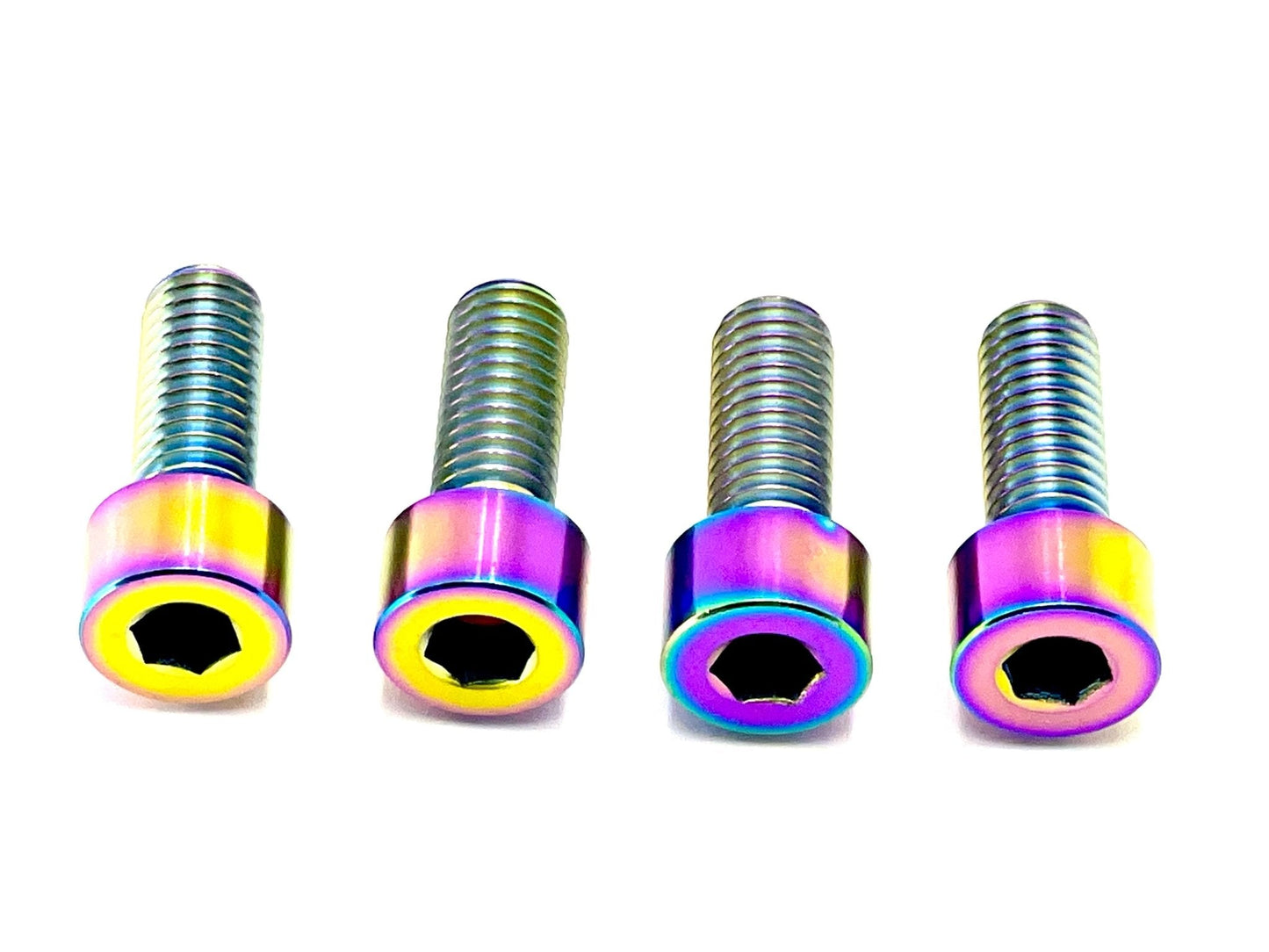Titanium Bash Guard/ Skid Plate Bolts - Surron LBX and Segway (Set of 4) - Howling Moto