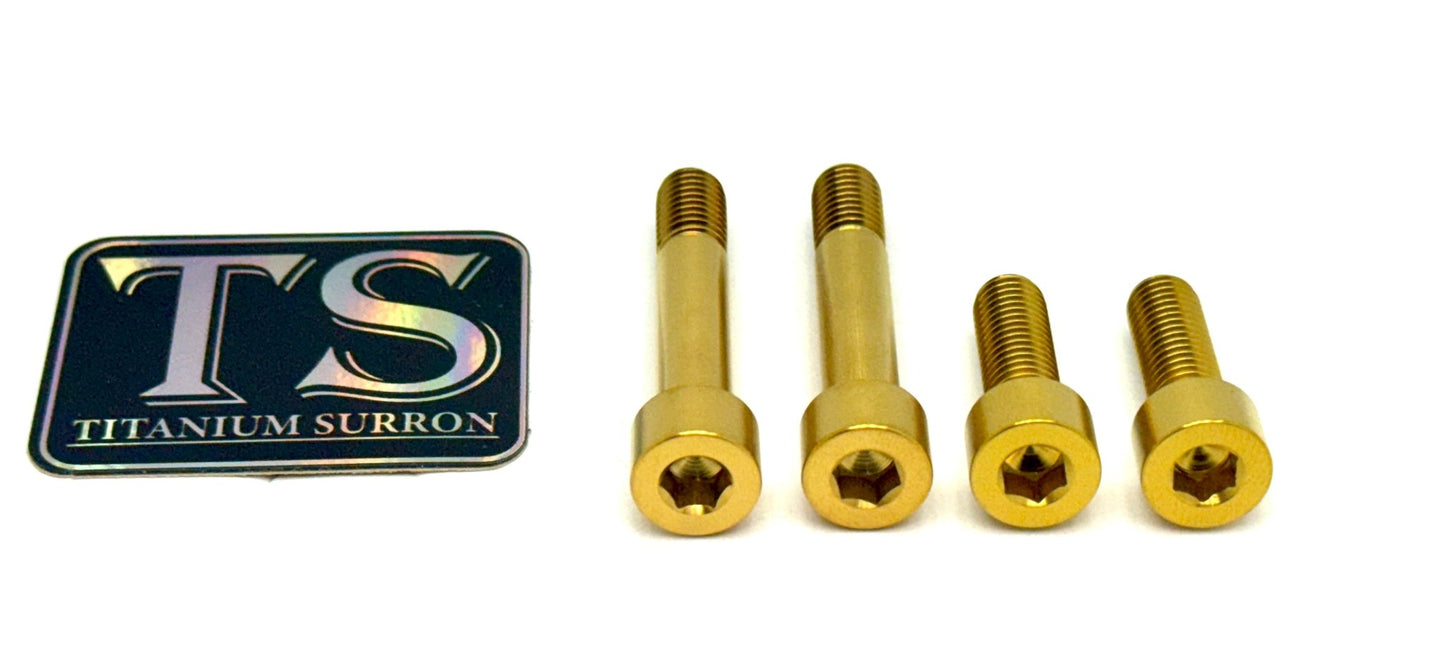 Titanium Motor Bolts - E-Ride Pro ERP SS and S - Howling Moto