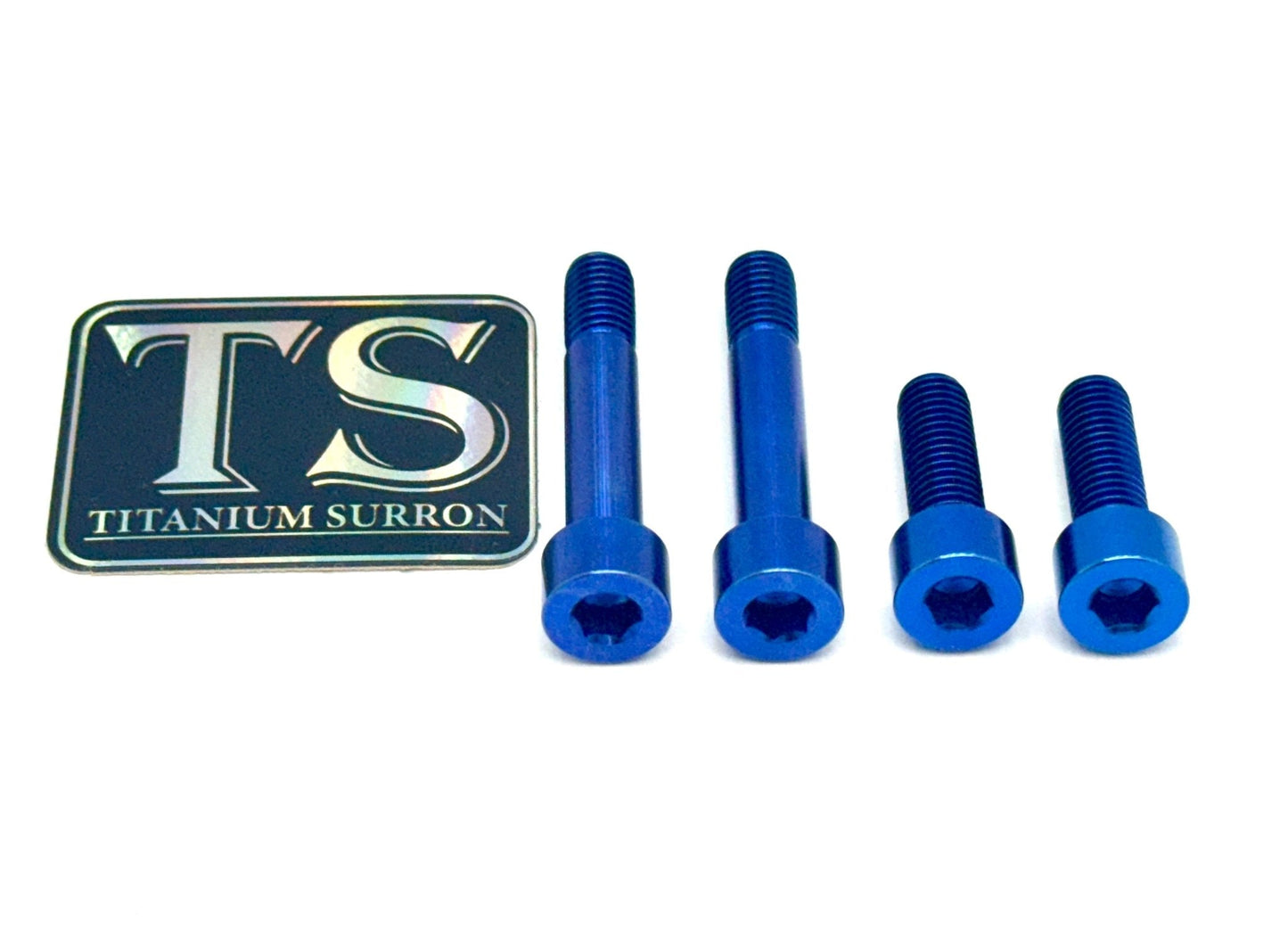 Titanium Motor Bolts - E-Ride Pro ERP SS and S - Howling Moto