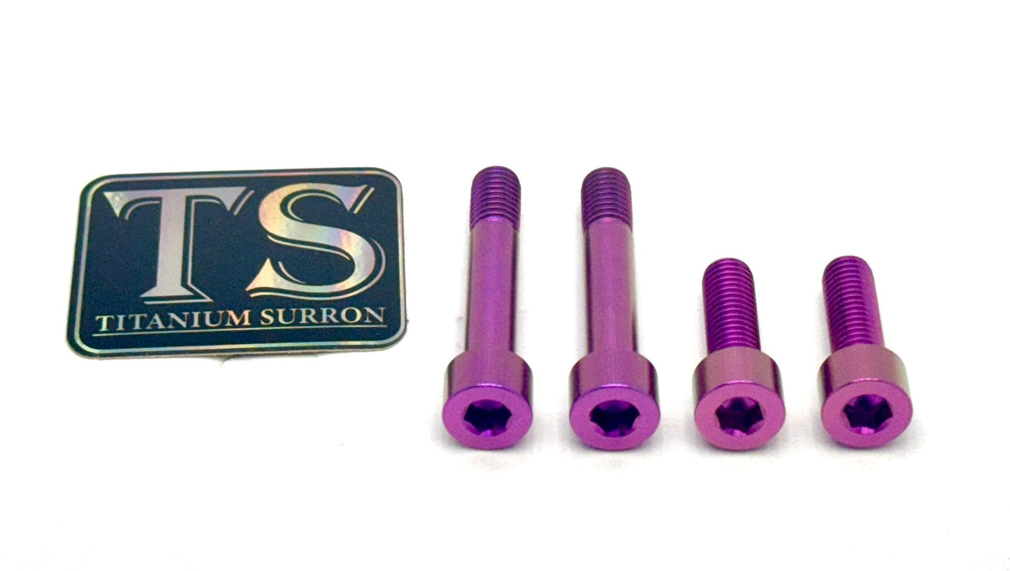 Titanium Motor Bolts - E-Ride Pro ERP SS and S - Howling Moto