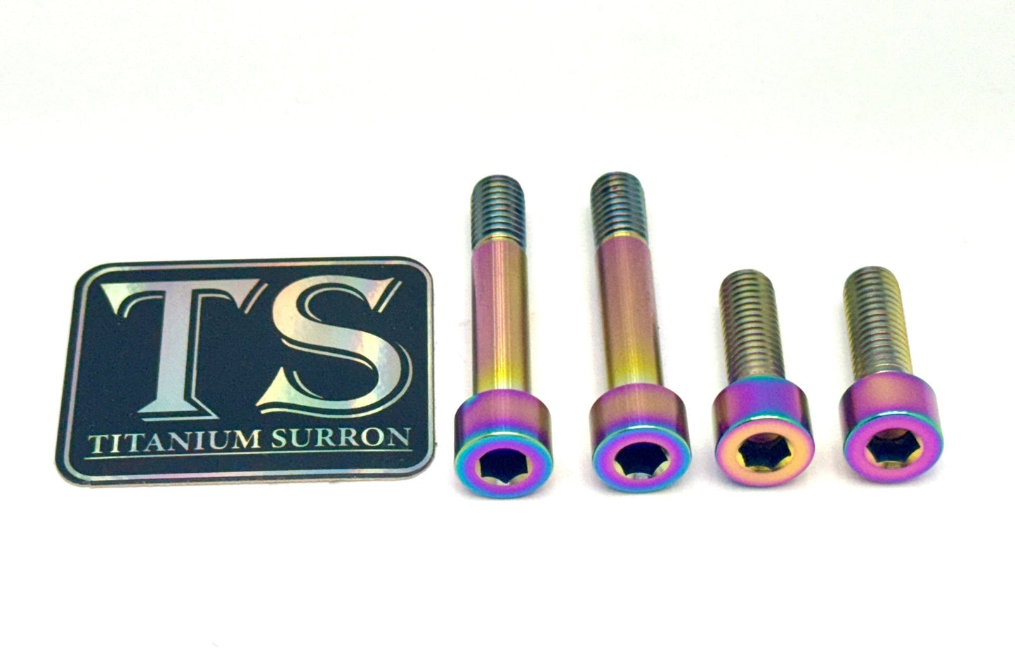 Titanium Motor Bolts - E-Ride Pro ERP SS and S - Howling Moto