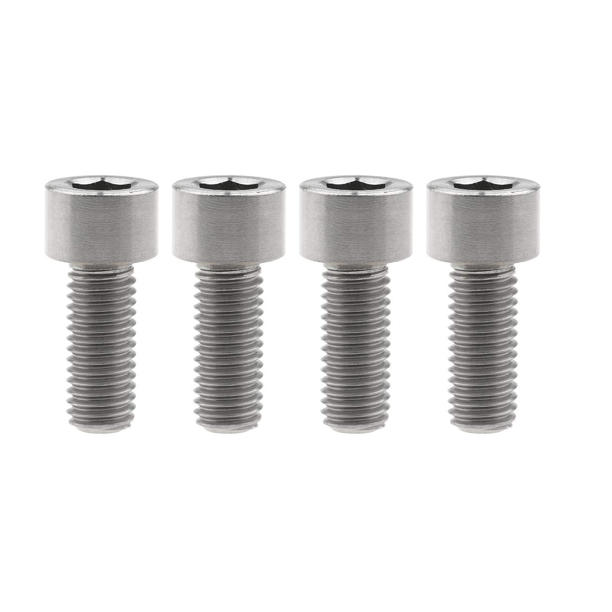 Titanium Motor Bolts - E-Ride Pro ERP SS and S - Howling Moto