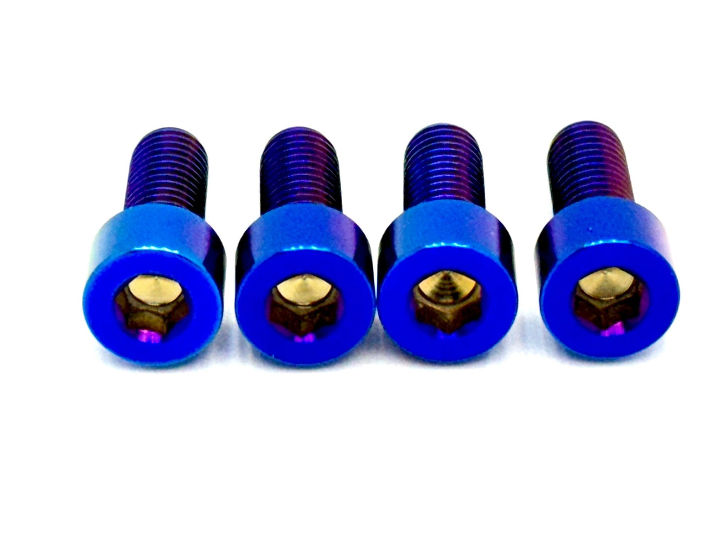 Titanium Bash Guard/ Skid Plate Bolts - Surron LBX and Segway (Set of 4) - Howling Moto