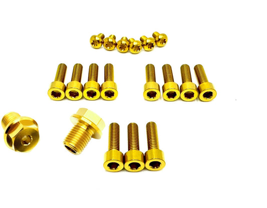 Titanium FastAce Fork Bolt Kits ALX13RC (2.0), AHX12RV (Gravitee), ALX32RC - Howling Moto