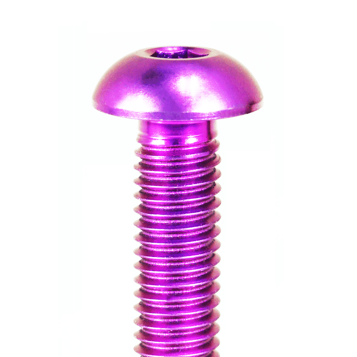 ZSPEC Button-Head Body Kit Fastener, M5x25mm w/ Well Nut, Titanium, per Each - Howling Moto