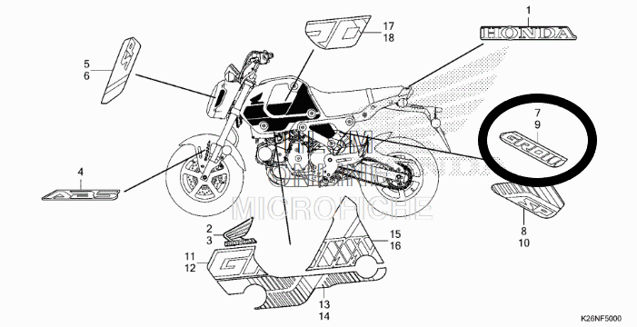 2022+ Honda Grom Sticker on Side Cover Under Seat