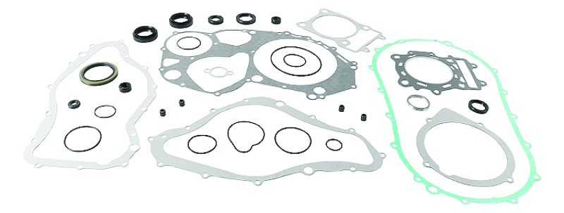 QuadBoss Arctic Cat 500 4x4 AT gasket set with oil seals, including engine gaskets and seals for model years 2000-2002