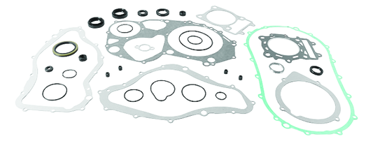 QuadBoss Arctic Cat 500 4x4 AT gasket set with oil seals, including engine gaskets and seals for model years 2000-2002