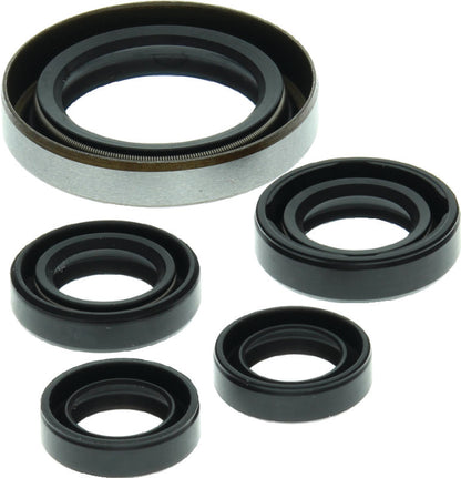QuadBoss 06-07 Polaris Outlaw 500 oil seal set for engine and transmission rebuild, includes seals for engine maintenance.
