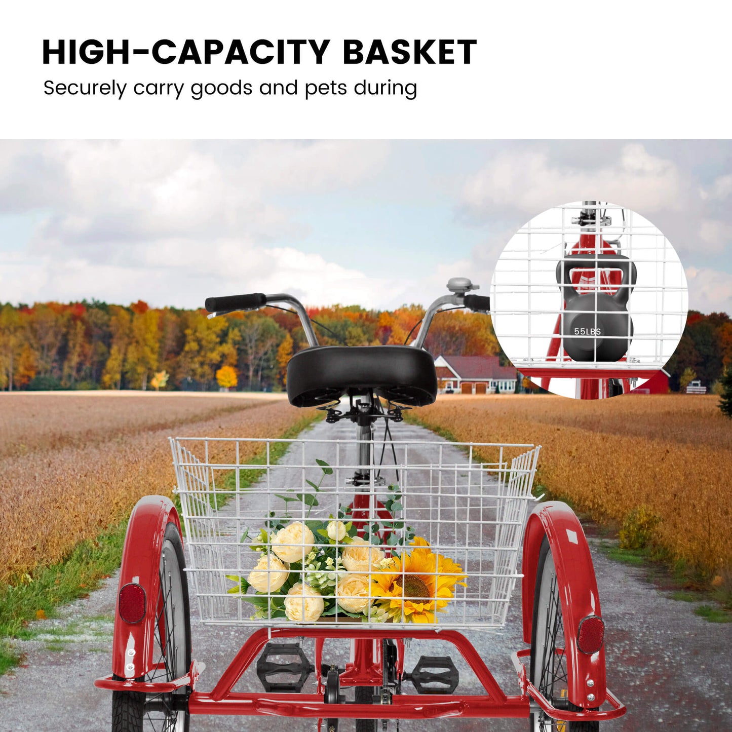 Ecarpat 24“ Single-Speed Adult Tricycle - Howling Moto