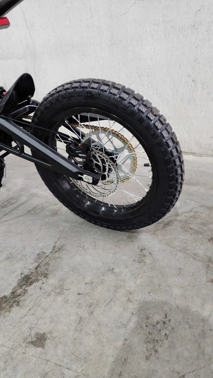E Ride Pro S: Fat Tire | 16" 72V 6KW 30AH 50MPH | Electric Dirt Bike (Limited Edition) - Howling Moto