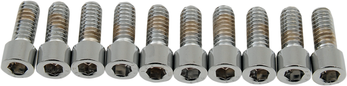 Drag Specialties MPB178S coarse-thread socket-head bolts, 1/4-20 x 5/8 inch, showing shiny metal bolts with hex socket heads.