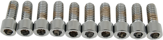 Drag Specialties MPB178S coarse-thread socket-head bolts, 1/4-20 x 5/8 inch, showing shiny metal bolts with hex socket heads.