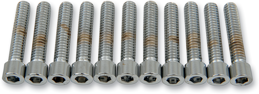Coarse-thread socket-head bolts from DRAG SPECIALTIES, 1/4-20 x 1-1/4 inch size, shown in the image.