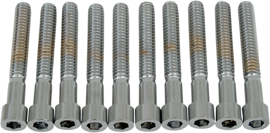 DRAG SPECIALTIES coarse-thread socket-head bolts 1/4-20 x 1-3/4 inch pack, showing silver metal bolts with hex heads.