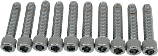 Close-up of DRAG SPECIALTIES MPB219 coarse-thread socket-head bolts, 5/16-18 x 1-1/2 inch, showing the bolt’s threading and head.