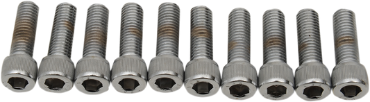 Set of ten 1/4"-28 x 1" fine thread socket-head bolts from Drag Specialties MPB212 Replacement Bolt Pack, ideal for motorcycle repairs.
