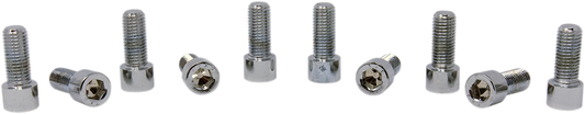 Set of 10 DRAG SPECIALTIES MPB226S fine thread socket-head bolts, 5/16"-24 x 3/4", for motorcycle or machinery repairs.