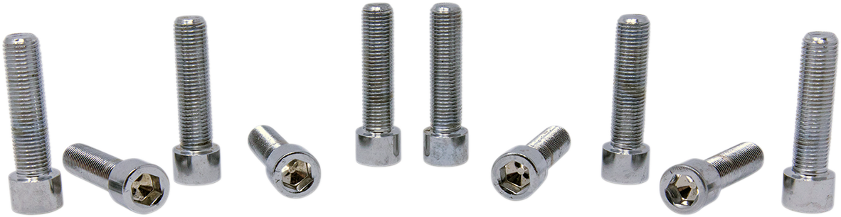 DRAG SPECIALTIES MPB252S fine thread socket-head bolt replacement pack, includes multiple high-quality bolts for motorcycle repairs.