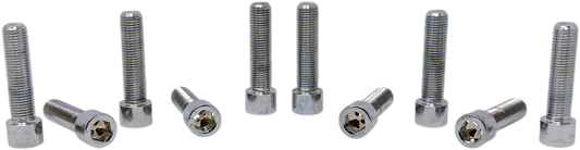DRAG SPECIALTIES MPB252S fine thread socket-head bolt replacement pack, includes multiple high-quality bolts for motorcycle repairs.