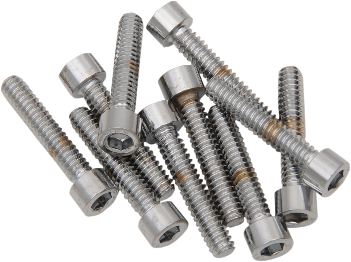 Set of 10 DRAG SPECIALTIES MPB195S replacement socket-head bolts, durable hardware for motorcycle maintenance.
