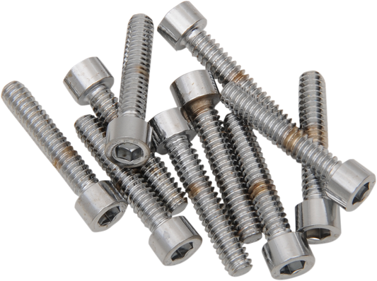 DRAG SPECIALTIES MPB196S replacement socket-head bolts pack with #10-24 x 1-1/4 inch smooth, coarse thread bolts.