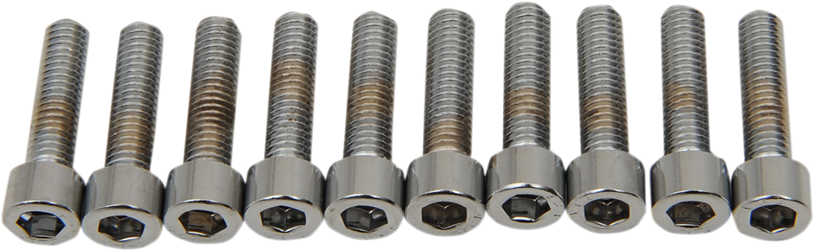Set of 10 DRAG SPECIALTIES MPB202S replacement socket-head bolts with #10-32 x 3/4" smooth/fine thread for motorcycles.