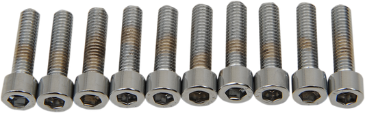 Set of 10 DRAG SPECIALTIES MPB202S replacement socket-head bolts with #10-32 x 3/4" smooth/fine thread for motorcycles.
