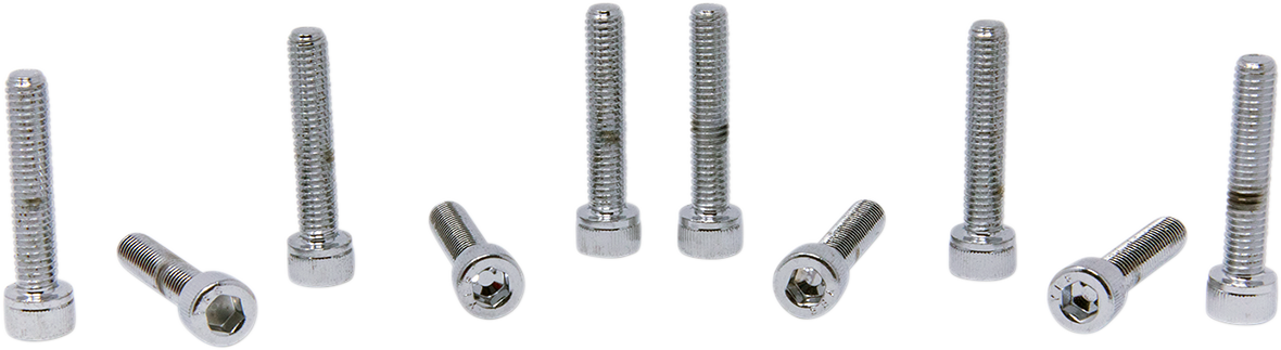 Set of 10 DRAG SPECIALTIES MPB204 replacement socket-head bolts with fine threads, ideal for motorcycle or bike repairs.